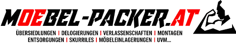 Möbelpacker Steininger Logo